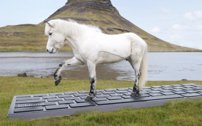 Visit Iceland y su divertida campaña con caballos