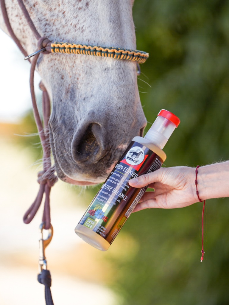 caballo oliendo el elixir digestive balance de leovet