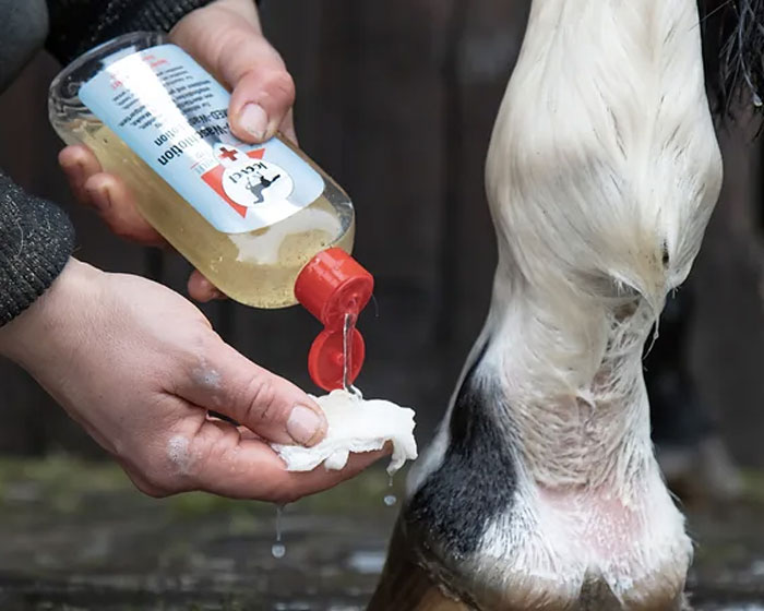 Loción Leovet First Aid Med-Wash aplicado sobre las cuartillas de un caballo