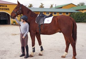 Review: East Coast Equestrian