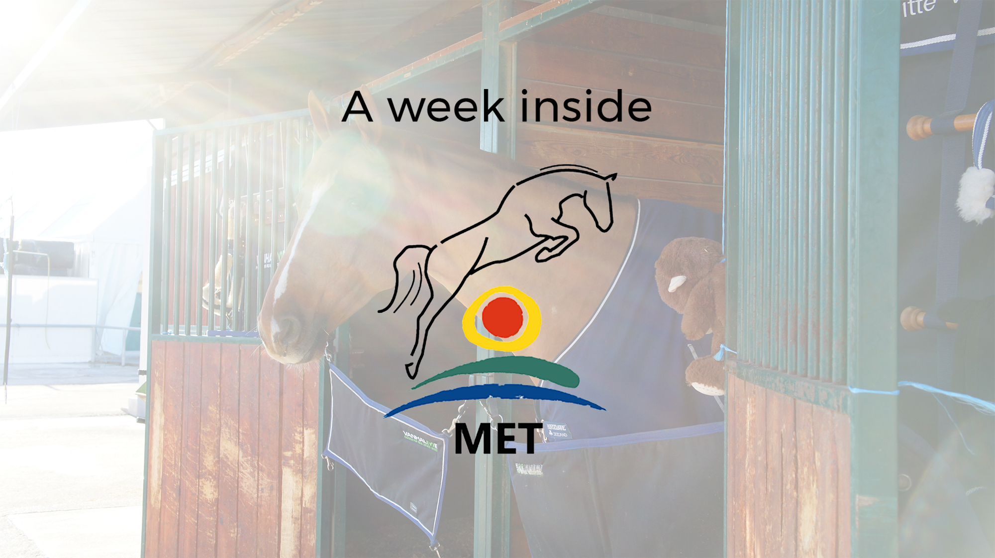 Vídeo: Una semana dentro del Mediterranean Equestrian Tour