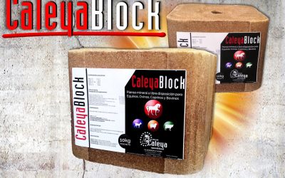 Bloque de minerales CaleyaBlock