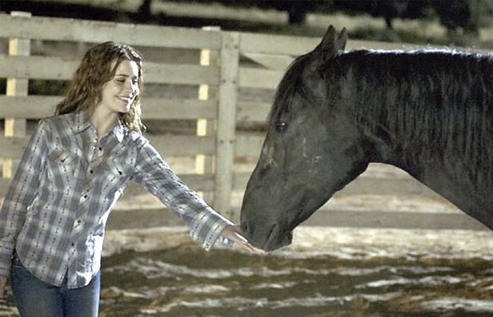 escena de la película flika en la que Katy se acerca al caballo que quiere ayudar