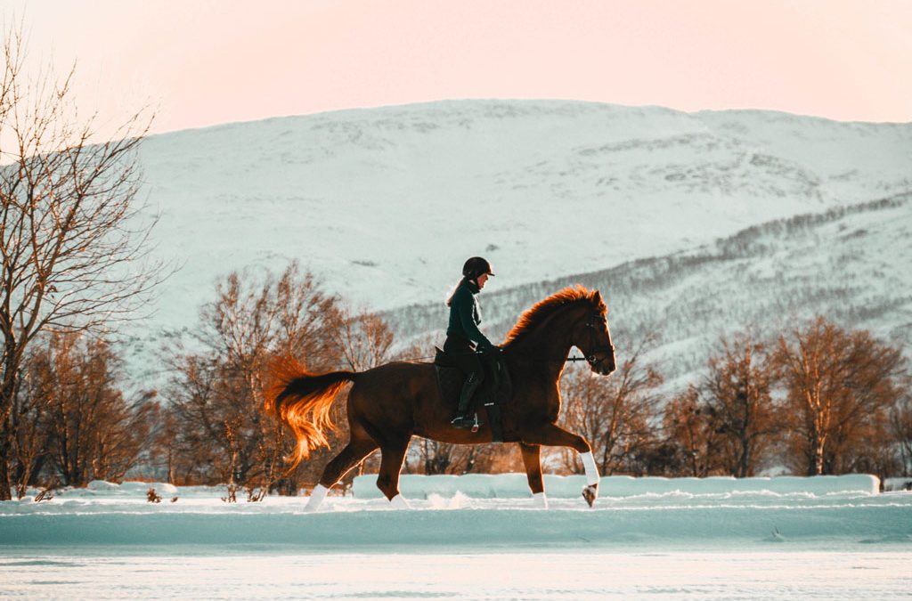 20 impresionantes frases sobre caballos