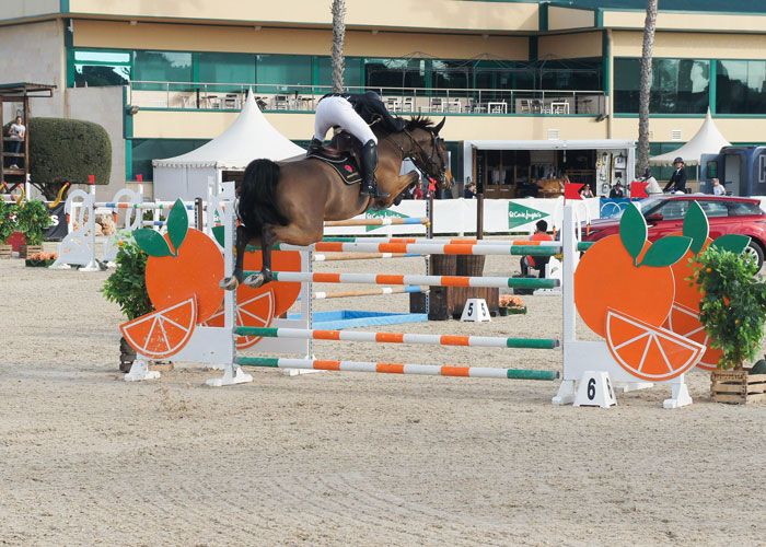 caballo saltando obstaculo de naranjas en el ces valencia tour