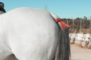 cola de caballo blanco con lazo rojo atado en CES Valencia Tour