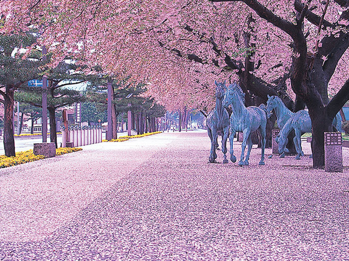parque central de Towada, Aomori, donde tiene lugar el Sakur yabusame