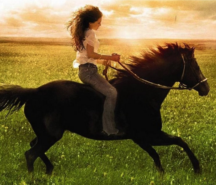 flicka, película sobre una joven y un caballo mustang