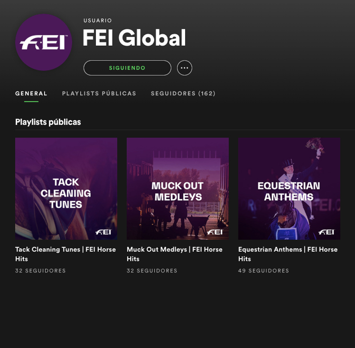Captura de pantalla del perfil de la FEI en Spotify