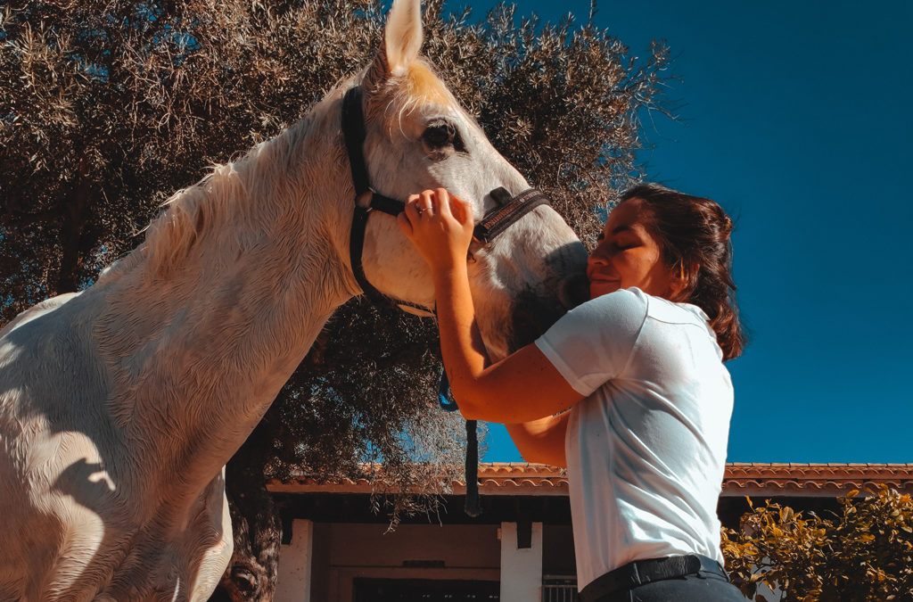Mi caballo y yo: Julia y Zalaque