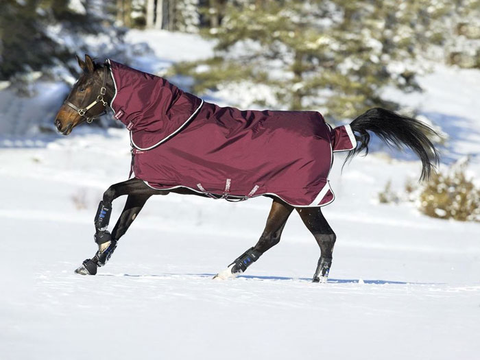 caballo galopando con manta exterior invierno
