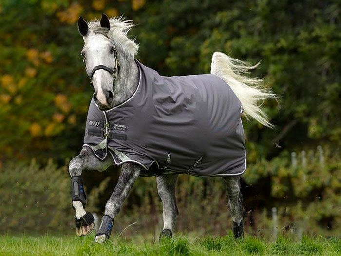 caballo con manta de exterior