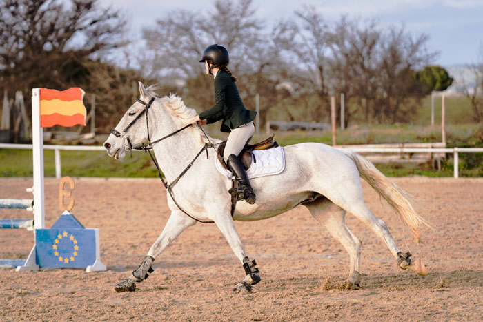 Parce, caballo blanco galopando con Silvia, amazona, en una competición
