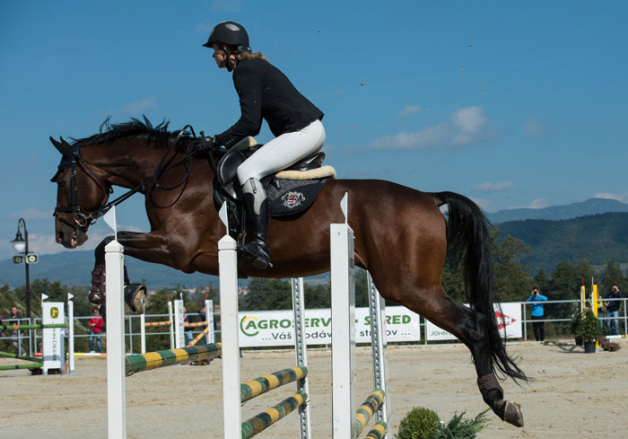 amazona con un caballo castaño saltando una triple barra, uno de los obstáculos habituales en la disciplina ecuestre salto de obstáculos