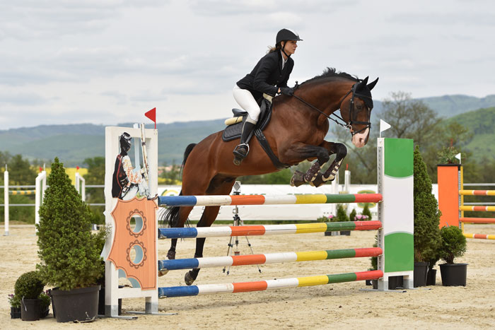 joven amazona con un caballo castaño saltando un obstáculo vertical en un concurso