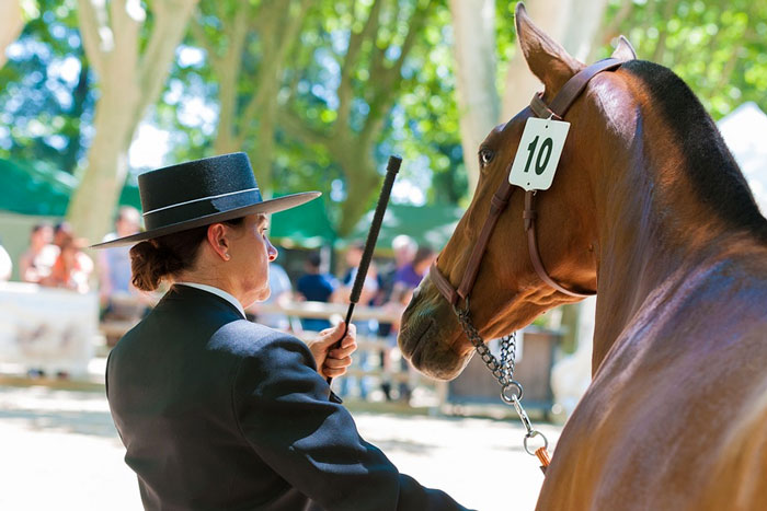 mujer presentando un caballo en un concurso morfólogico