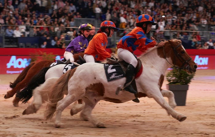 Ponis participando en el Pony Turf de la IFEMA Madrid Horse Week