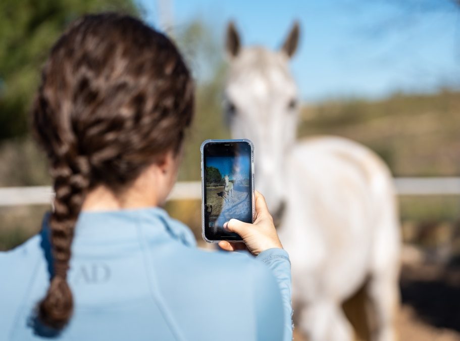 5 trucos para sacar fotos increíbles a tu caballo